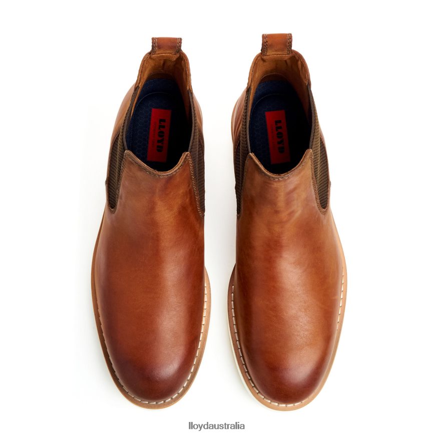 LLOYD Men DENTON brown Shoes H6PTLF477