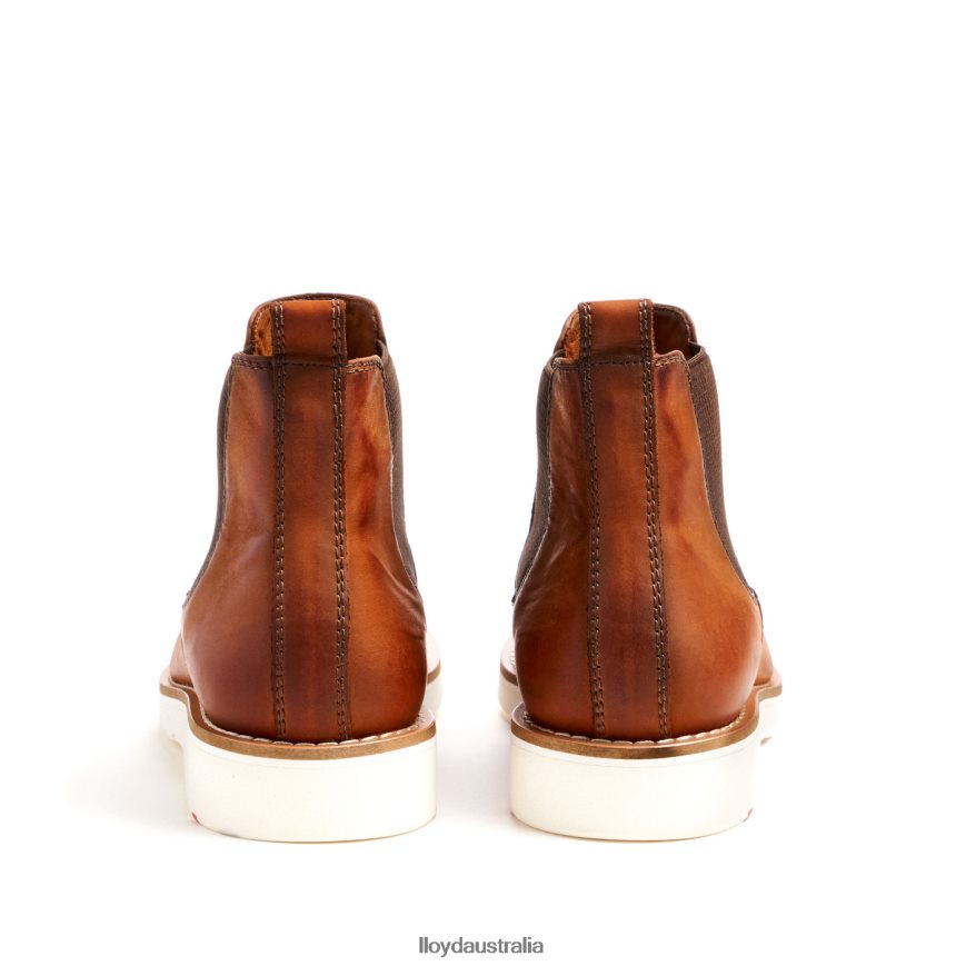 LLOYD Men DENTON brown Shoes H6PTLF477