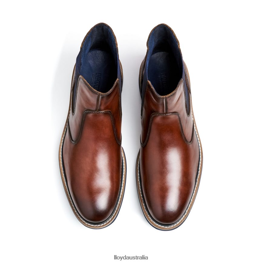 LLOYD Men DEXTER brown Shoes H6PTLF469