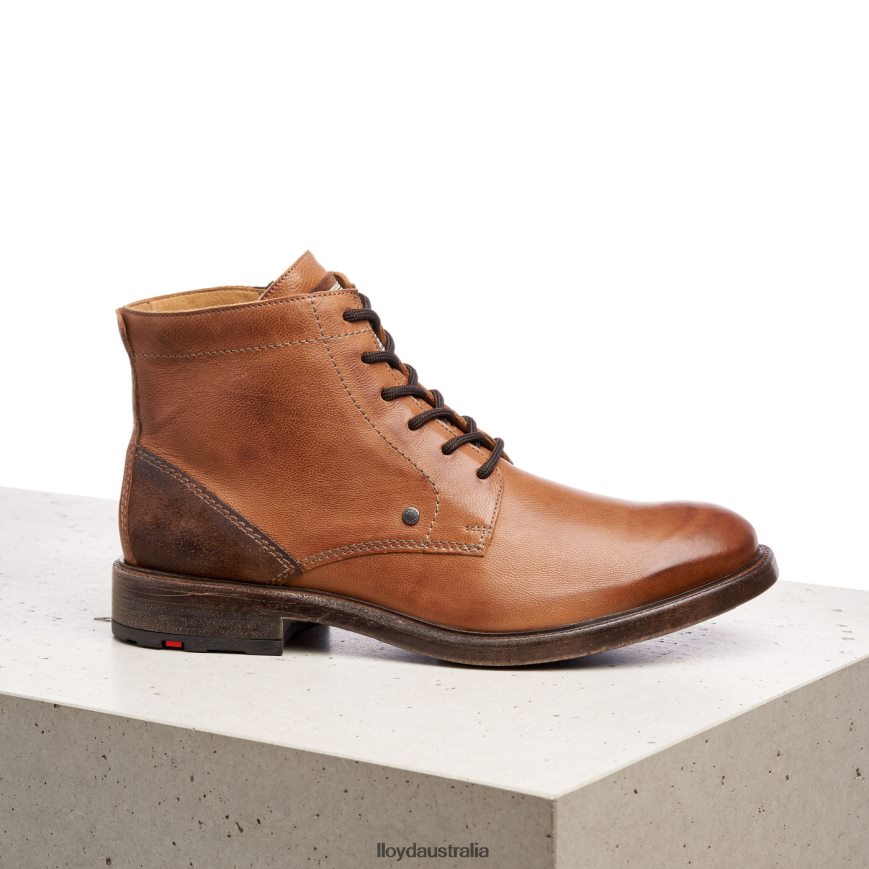 LLOYD Men DWAYN brown Shoes H6PTLF535