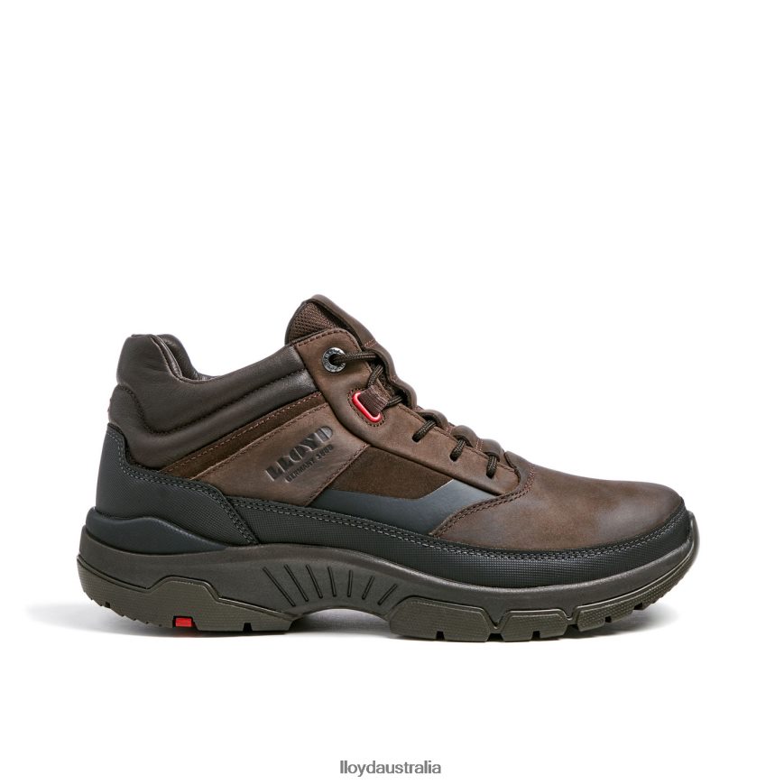 LLOYD Men EDD brown Shoes H6PTLF467