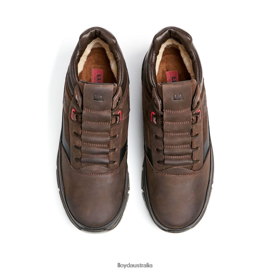 LLOYD Men EDD brown Shoes H6PTLF467