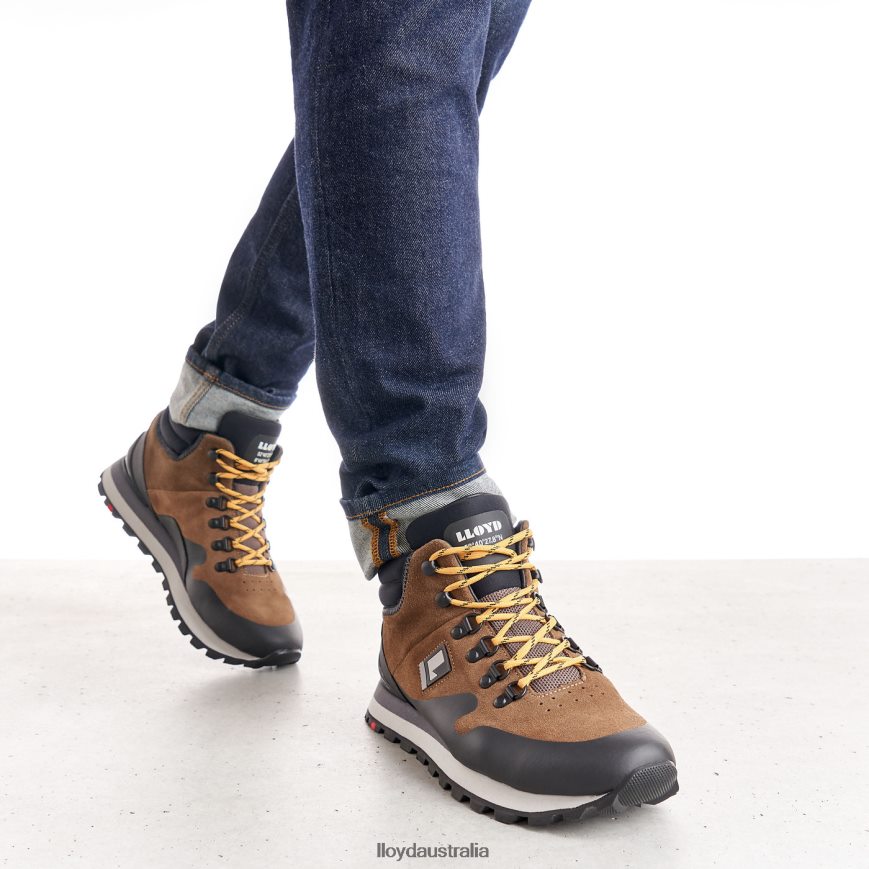 LLOYD Men ELWAS brown Shoes H6PTLF551