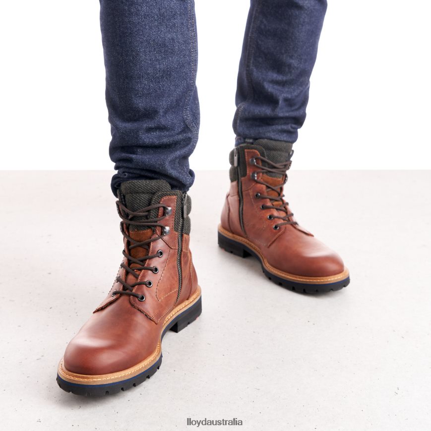 LLOYD Men FLAVIO brown Shoes H6PTLF506