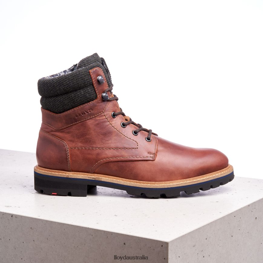 LLOYD Men FLAVIO brown Shoes H6PTLF506