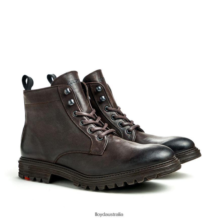 LLOYD Men HALIFAX brown Shoes H6PTLF483