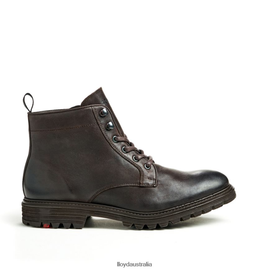 LLOYD Men HALIFAX brown Shoes H6PTLF483