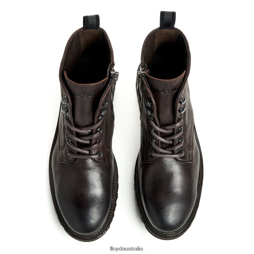 LLOYD Men HALIFAX brown Shoes H6PTLF483