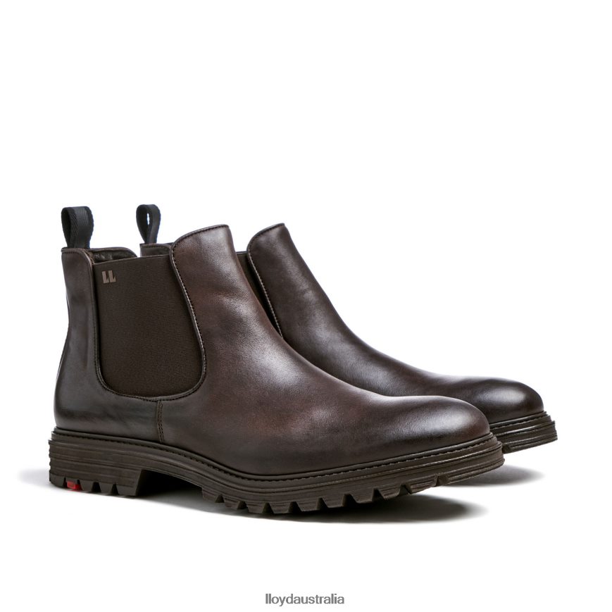 LLOYD Men HARWICH brown Shoes H6PTLF478