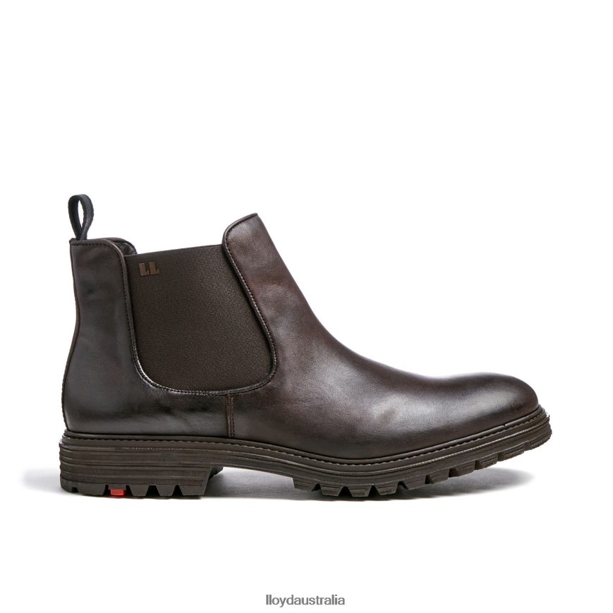 LLOYD Men HARWICH brown Shoes H6PTLF478