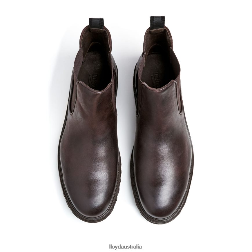 LLOYD Men HARWICH brown Shoes H6PTLF478