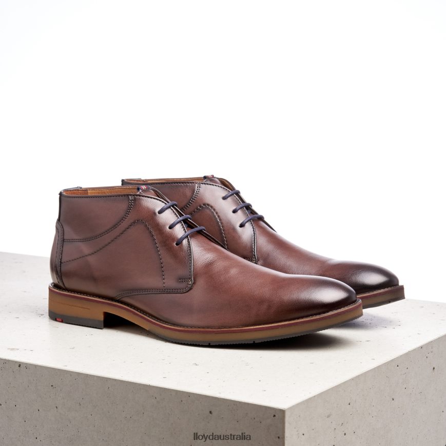 LLOYD Men HASTINGS brown Shoes H6PTLF566