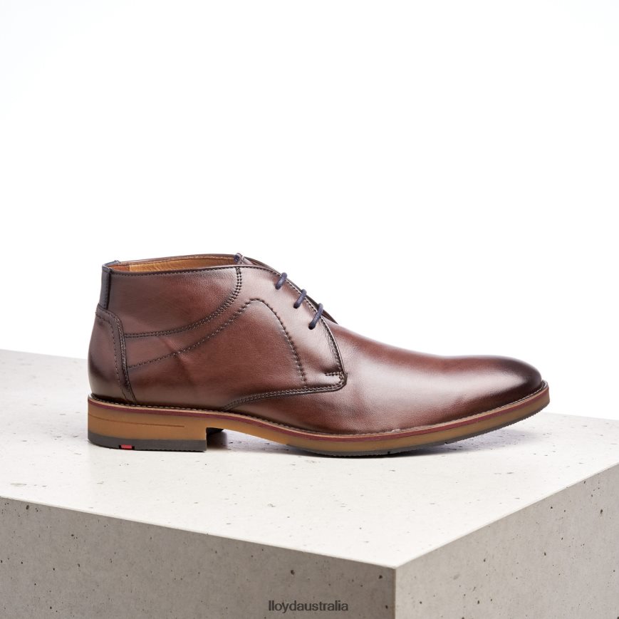 LLOYD Men HASTINGS brown Shoes H6PTLF566