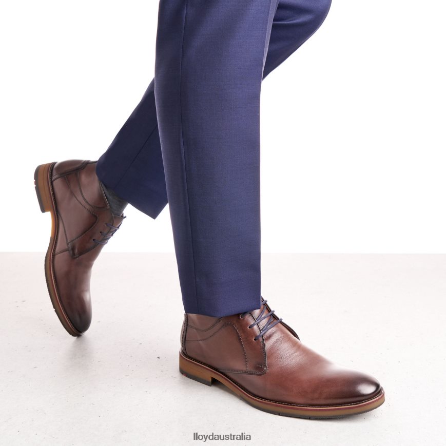 LLOYD Men HASTINGS brown Shoes H6PTLF566