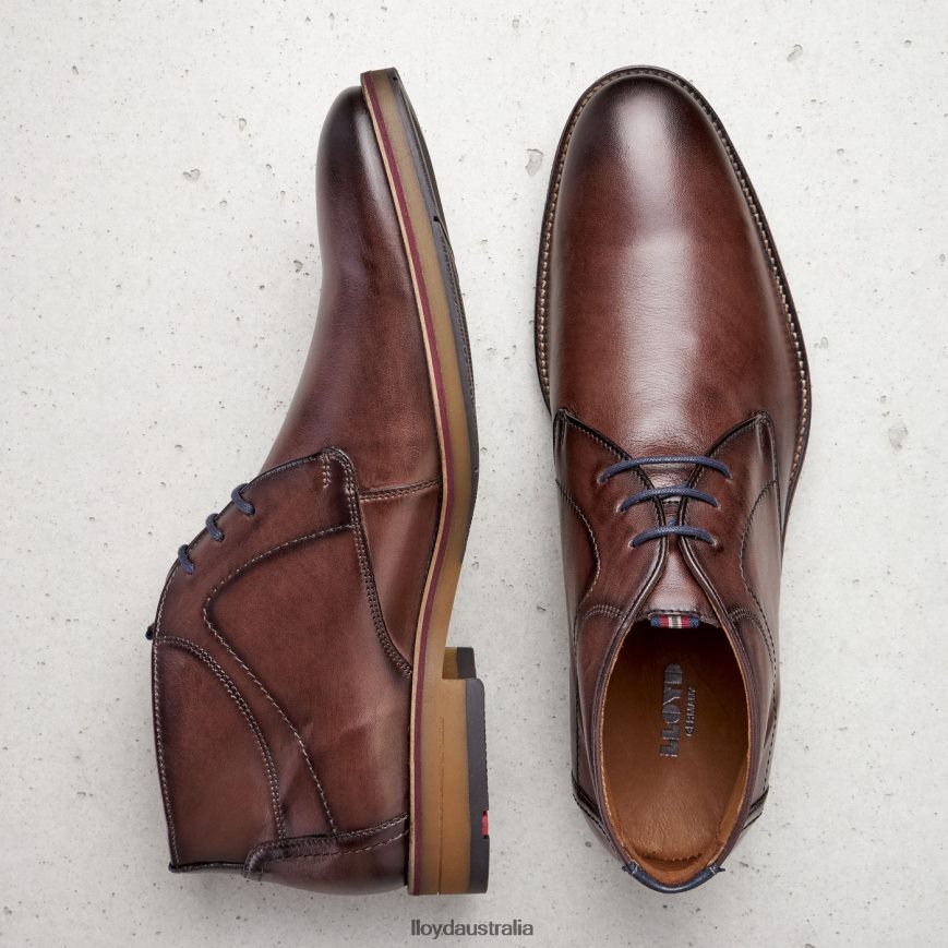 LLOYD Men HASTINGS brown Shoes H6PTLF566