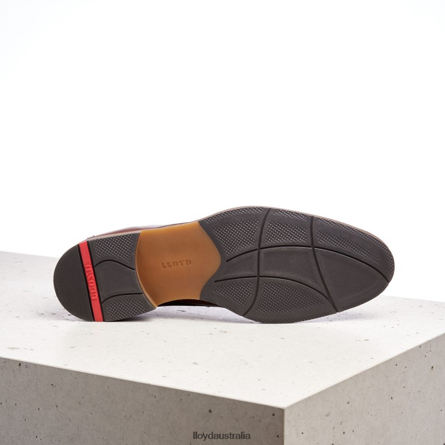 LLOYD Men HASTINGS brown Shoes H6PTLF566
