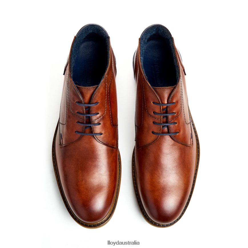 LLOYD Men HENGELO brown Shoes H6PTLF463
