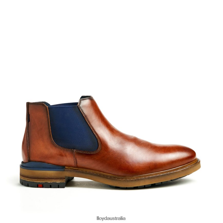 LLOYD Men HENRY brown Shoes H6PTLF464