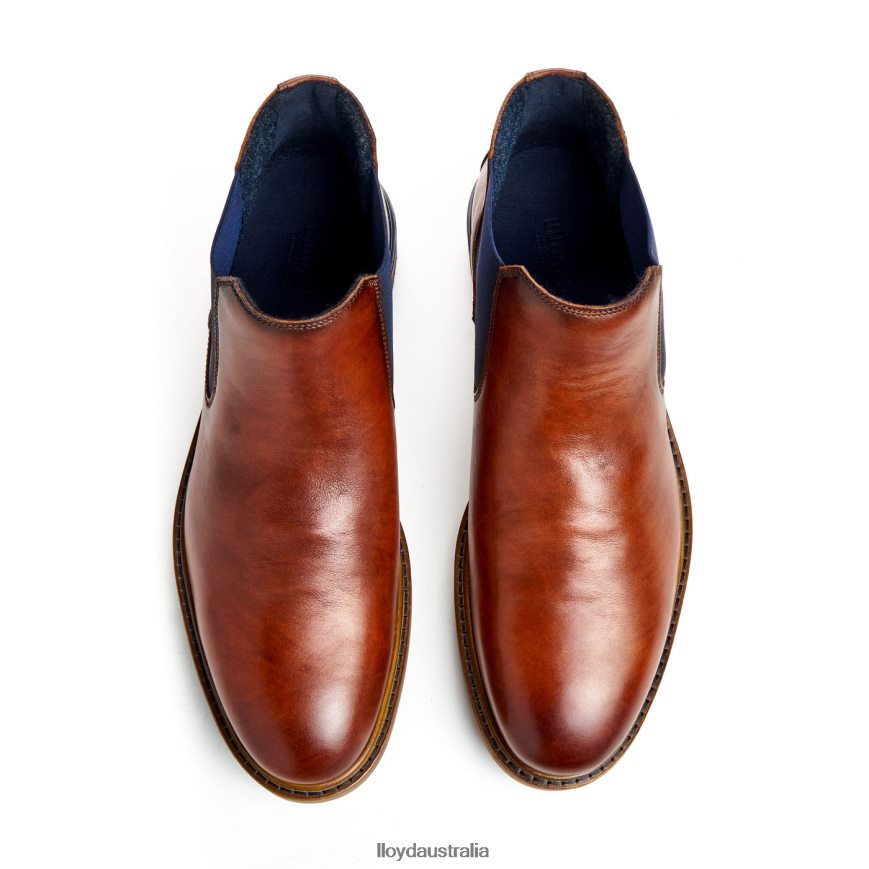 LLOYD Men HENRY brown Shoes H6PTLF464