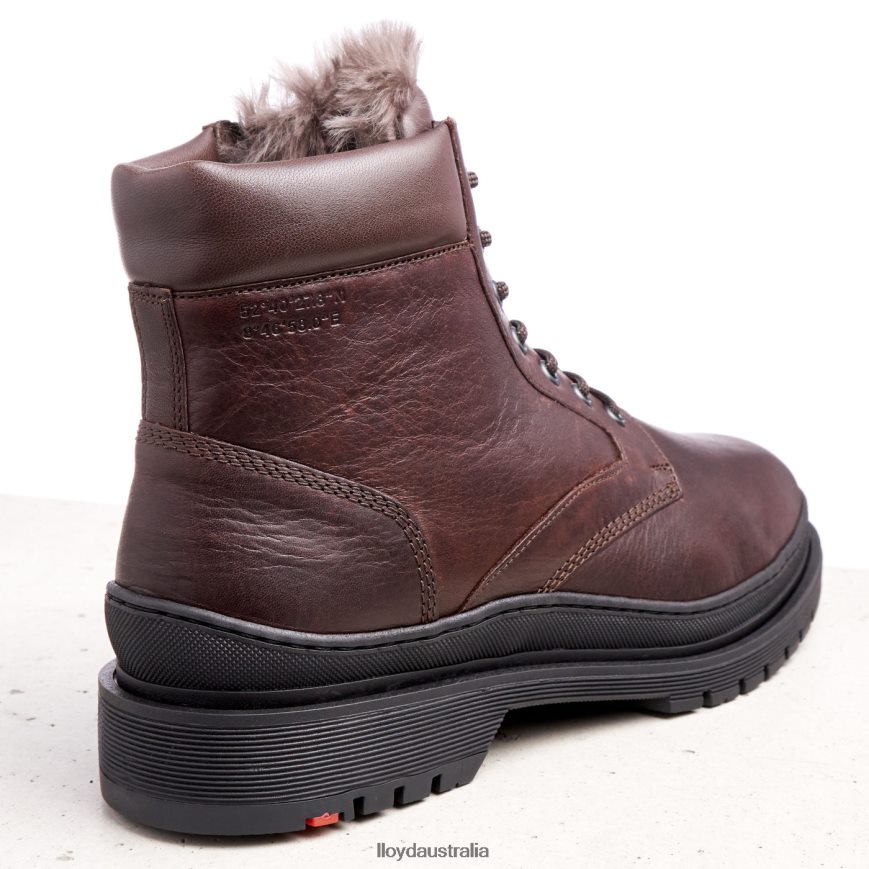 LLOYD Men HOLLIS brown Shoes H6PTLF509
