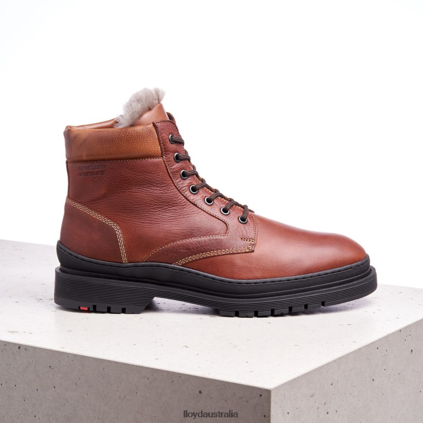 LLOYD Men HOLLIS brown Shoes H6PTLF537