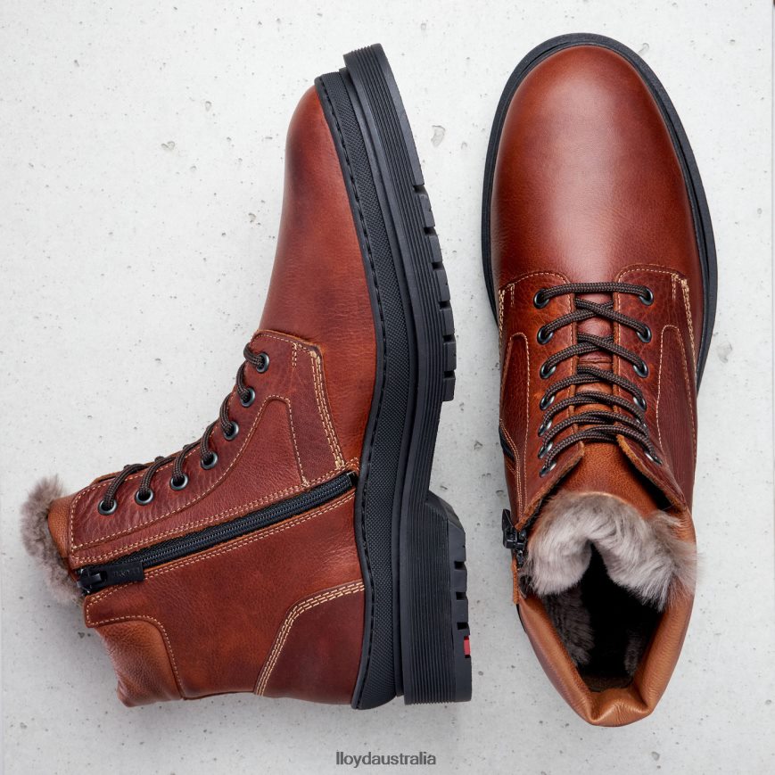 LLOYD Men HOLLIS brown Shoes H6PTLF537
