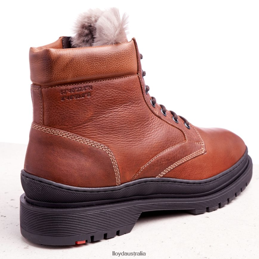 LLOYD Men HOLLIS brown Shoes H6PTLF537