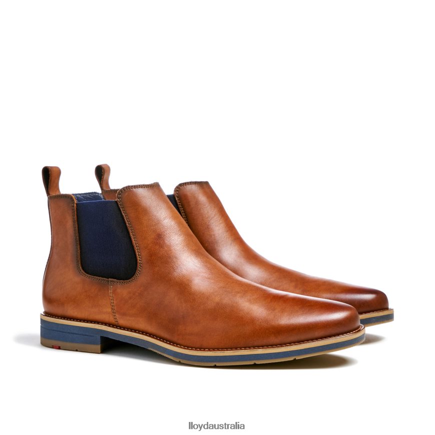 LLOYD Men LAWRENCE brown Shoes H6PTLF453