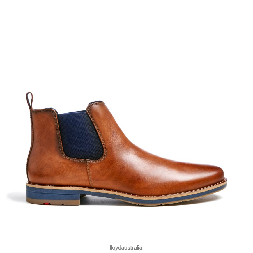LLOYD Men LAWRENCE brown Shoes H6PTLF453