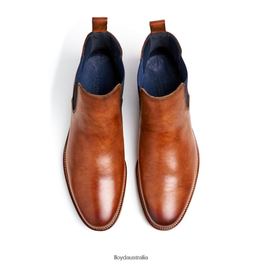 LLOYD Men LAWRENCE brown Shoes H6PTLF453