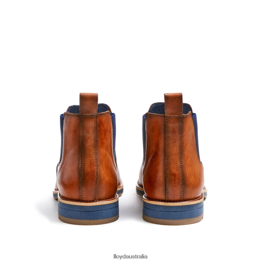 LLOYD Men LAWRENCE brown Shoes H6PTLF453