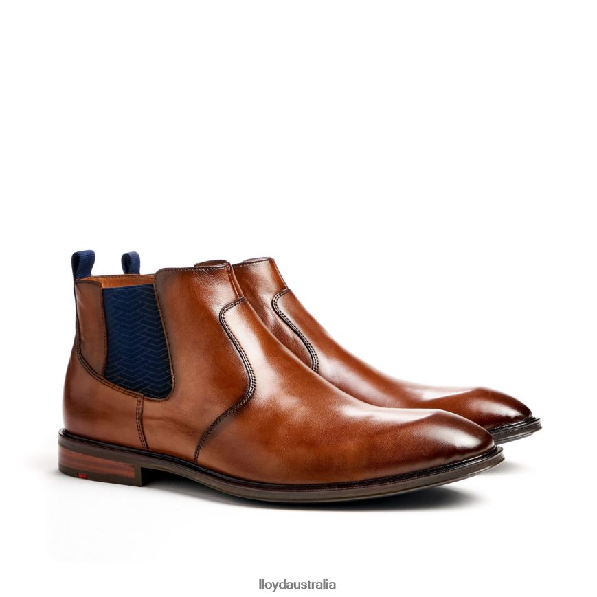 LLOYD Men MATTEO brown Shoes H6PTLF12