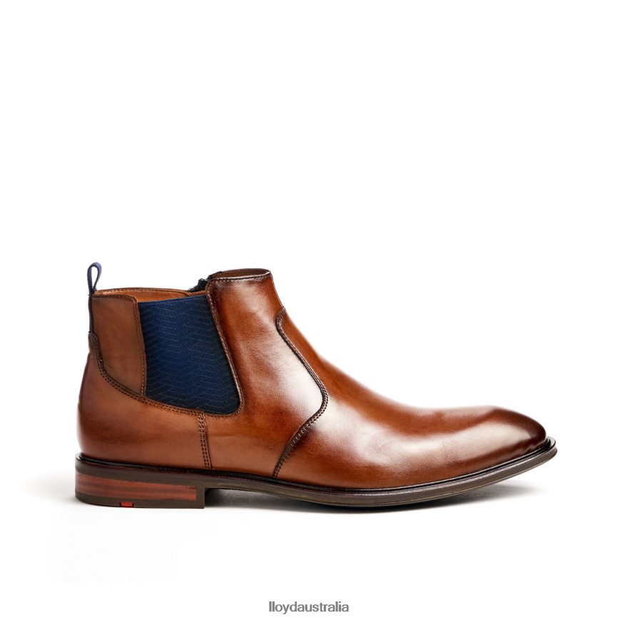 LLOYD Men MATTEO brown Shoes H6PTLF12