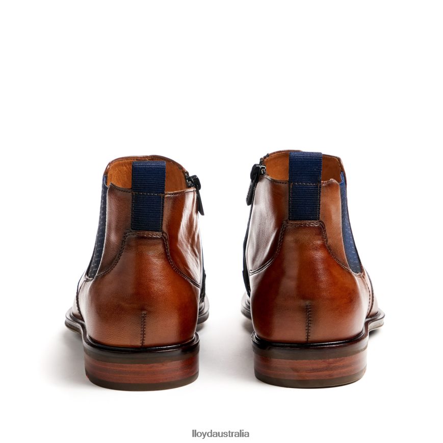 LLOYD Men MATTEO brown Shoes H6PTLF12