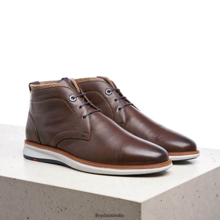 LLOYD Men MAXWELL brown Shoes H6PTLF274