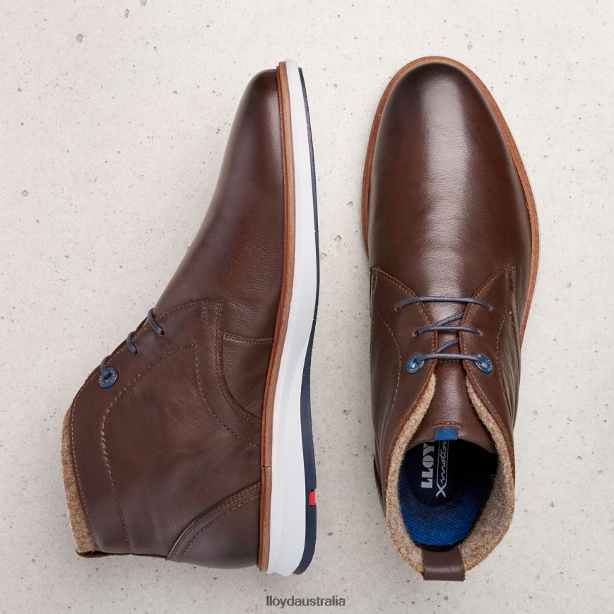 LLOYD Men MAXWELL brown Shoes H6PTLF274