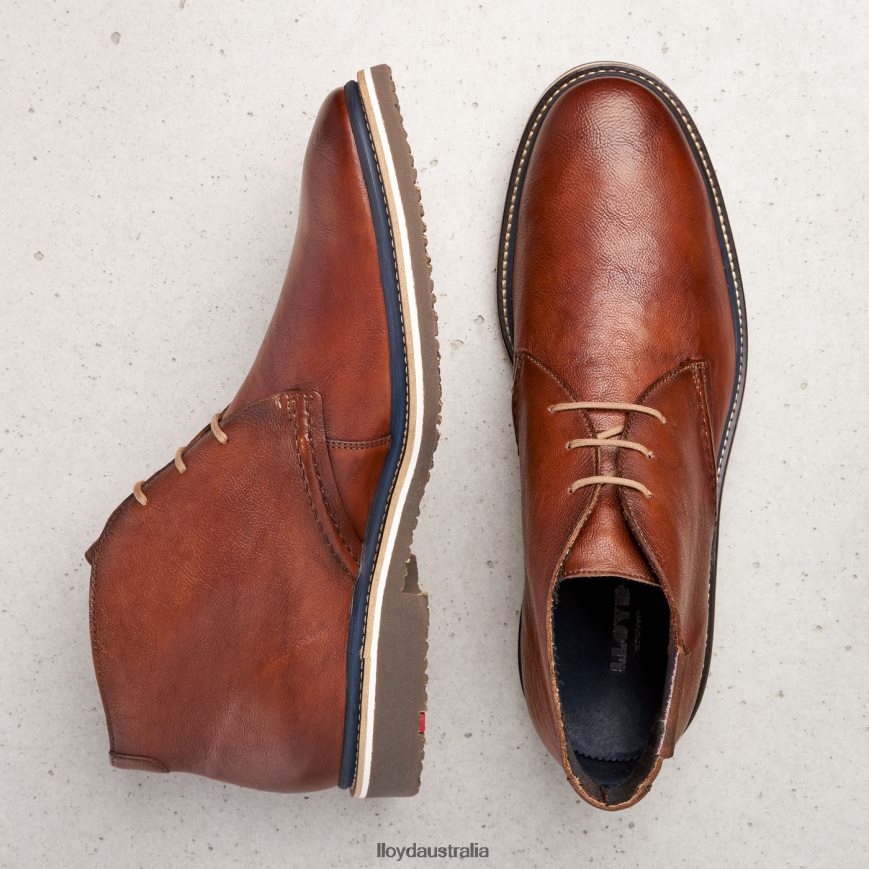 LLOYD Men NORKO brown Shoes H6PTLF554