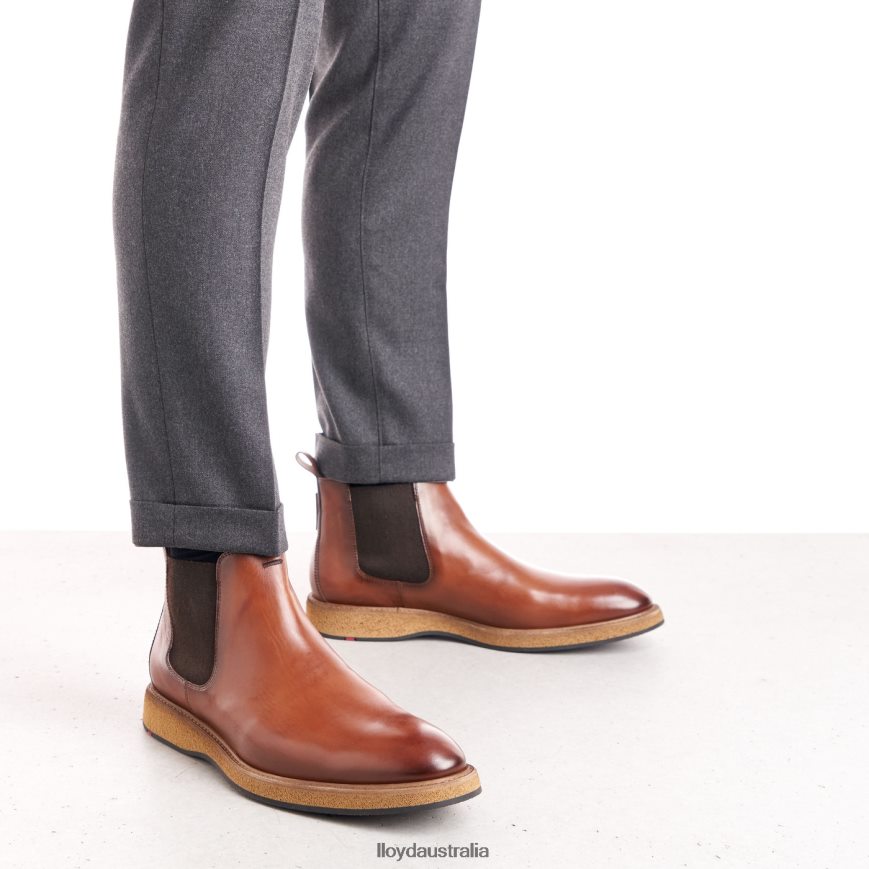 LLOYD Men ORIS brown Shoes H6PTLF558