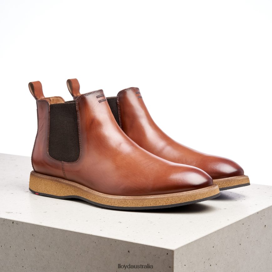 LLOYD Men ORIS brown Shoes H6PTLF558