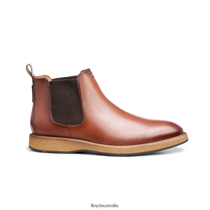 LLOYD Men ORIS brown Shoes H6PTLF558