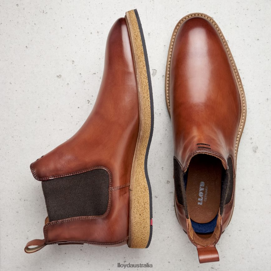 LLOYD Men ORIS brown Shoes H6PTLF558