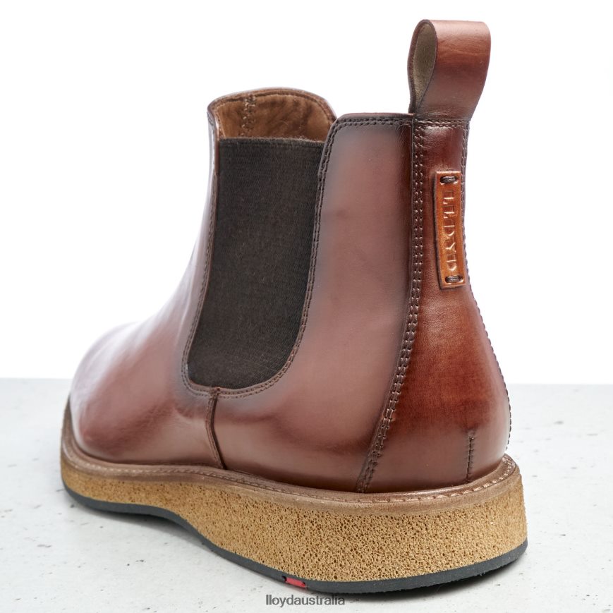 LLOYD Men ORIS brown Shoes H6PTLF558