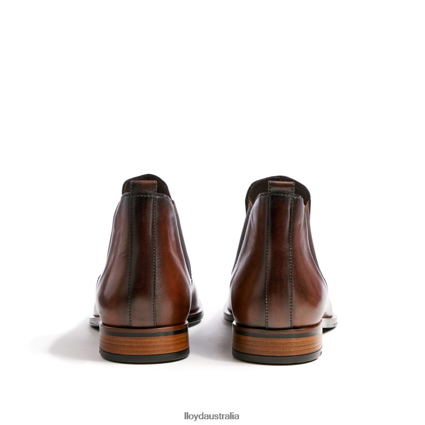 LLOYD Men SCOUT brown Shoes H6PTLF239
