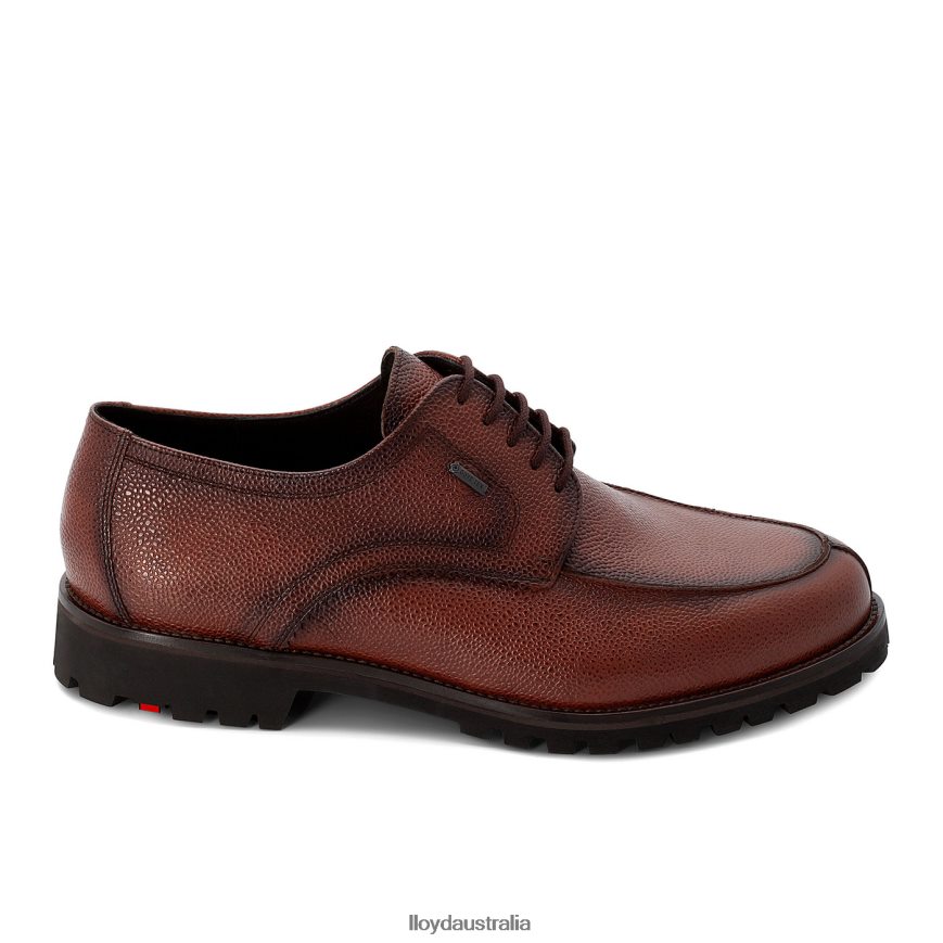 LLOYD Men VALDEZ brown Shoes H6PTLF161