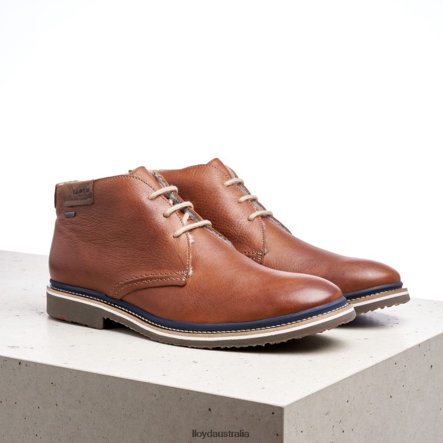 LLOYD Men VALENCIA brown Shoes H6PTLF507