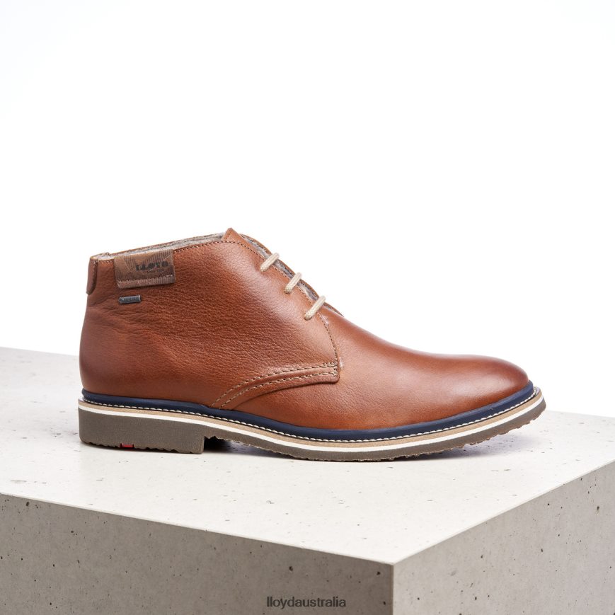 LLOYD Men VALENCIA brown Shoes H6PTLF507