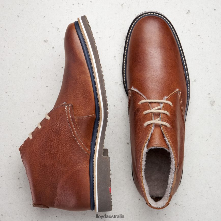 LLOYD Men VALENCIA brown Shoes H6PTLF507