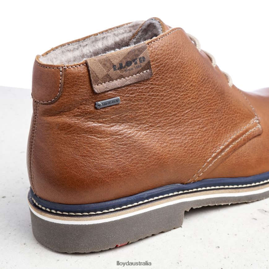 LLOYD Men VALENCIA brown Shoes H6PTLF507