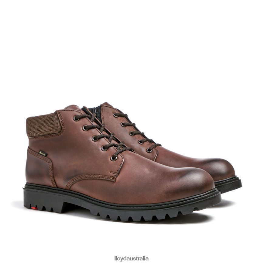 LLOYD Men VANCOUVER brown Shoes H6PTLF534