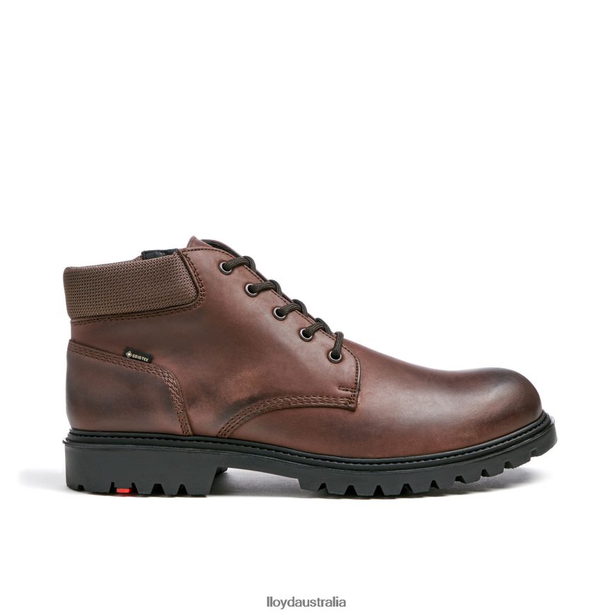 LLOYD Men VANCOUVER brown Shoes H6PTLF534